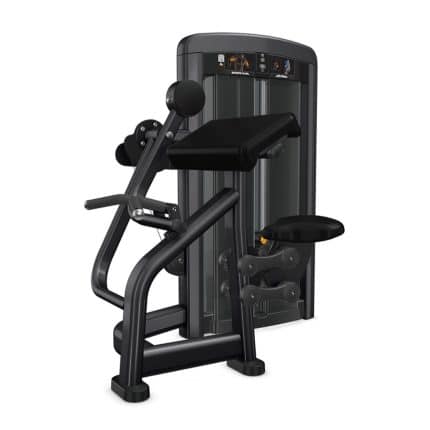 FLEXIÓN DE BÍCEPS INSIGNIA