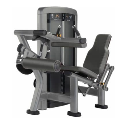 FLEXIÓN DE PIERNA SENTADO INSIGNIA