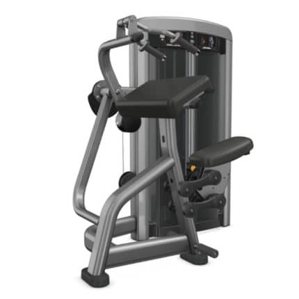 EXTENSIÓN DE TRÍCEPS INSIGNIA