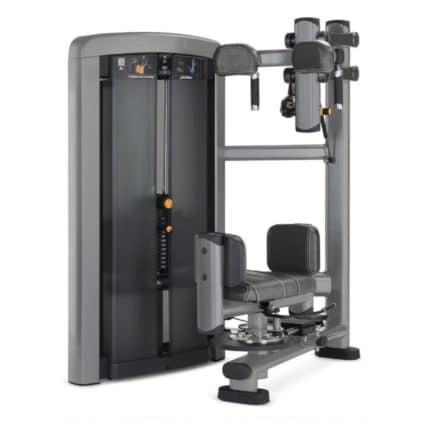 ROTACIÓN DE TORSO INSIGNIA